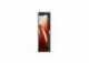 DOOGEE S118 12/512GB 10800mAh, červená