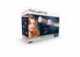 Kulmofén Rowenta CF9540F0 Brush Active Premium Care