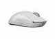 Logitech G Pro X Superlight Wireless Gaming Mouse 910-005942