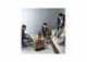Rowenta IN7020F0 Clean It Hot & Cold Animal