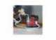 Rowenta IN7020F0 Clean It Hot & Cold Animal